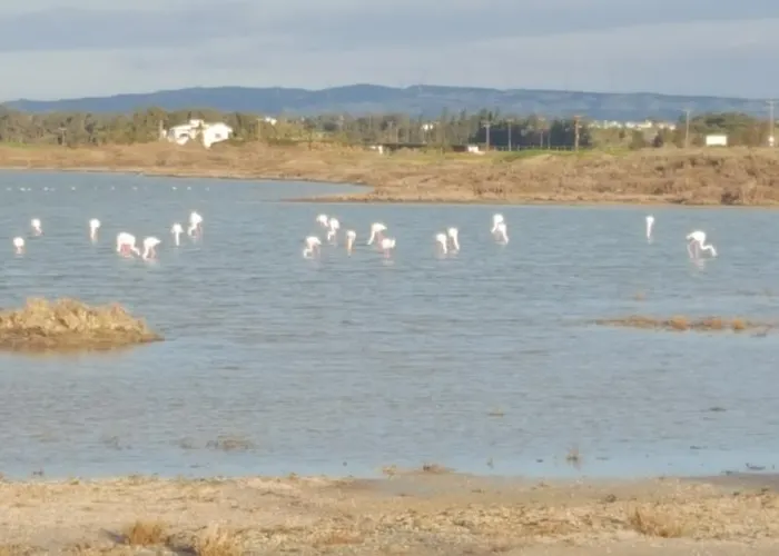 Periyiali Sunset A7 *