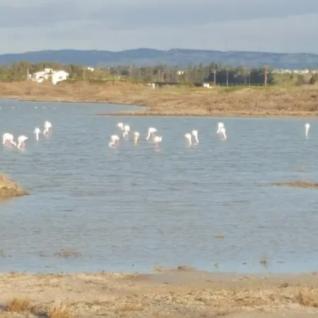 Periyiali Sunset A7 *